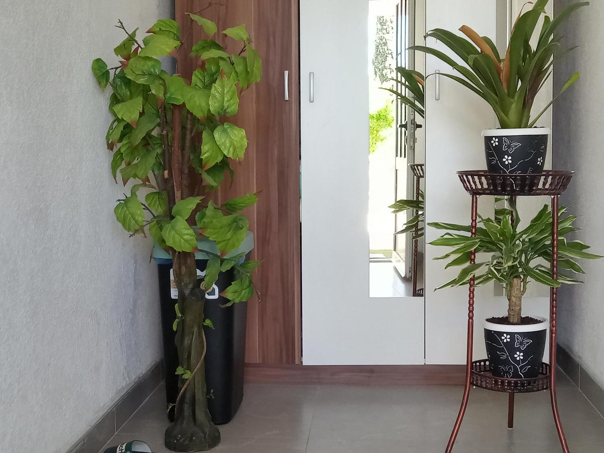 Apartman Hadze 莫斯塔尔 外观 照片